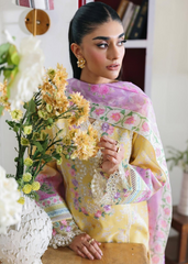 RajBari NISSA