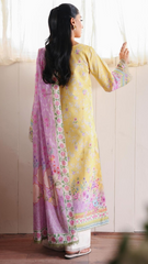 RajBari NISSA