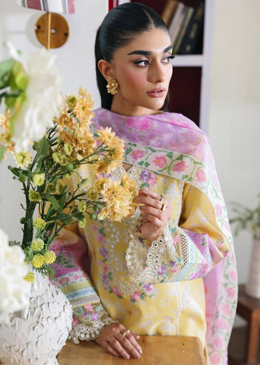 RajBari NISSA