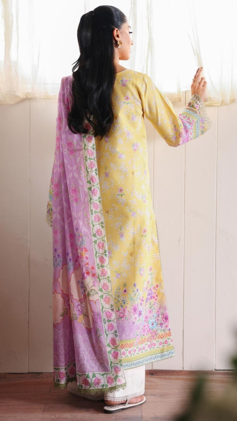 RajBari NISSA