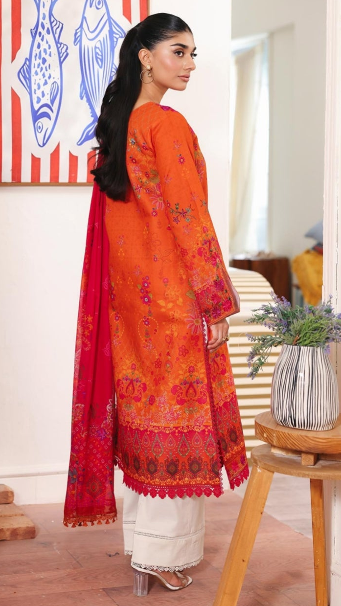 RajBari NISSA